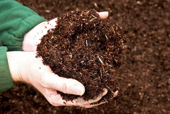 Phân hữu cơ được hình thành từ chất thải gia súc, gia cầm, lá, thân cây, cỏ,…