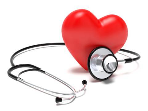    Chè Thái Nguyên mang đến những lợi ích để bảo cho hệ tim mạch của chúng ta khoẻ mạnh